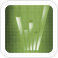 payroll services
